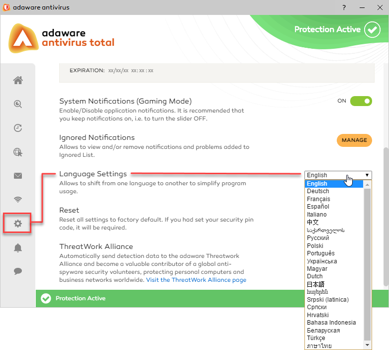 Language window