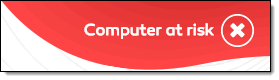 Computer at risk status